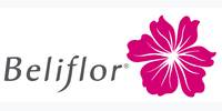 Beliflor